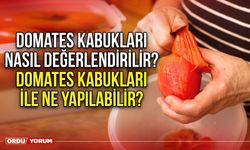 Domates Kabukları Nasıl Değerlendirilir? Domates Kabukları İle Ne Yapılabilir?