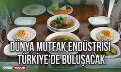 Dünya mutfak endüstrisi Türkiye'de buluşacak