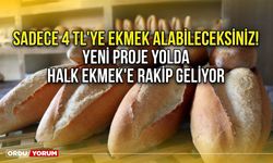 Sadece 4 TL'ye ekmek alabileceksiniz! Yeni proje yolda Halk Ekmek'e rakip geliyor