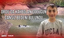 Ordu'da kaybolan çocuğun cansız bedeni bulundu