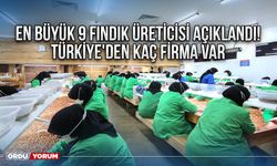 En Büyük 9 Fındık Üreticisi Açıklandı! Türkiye'den kaç firma var
