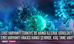 Eris varyantı Türkiye'de hangi illerde görüldü? Eris varyantı vakası hangi şehirde kaç tane var  İşte Son durum