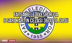 Fatsa Belediyespor'da 6 Sarı Kartın Cezası 3600 TL Oldu