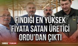 Fındığı en yüksek fiyata satan üretici Ordu’dan çıktı