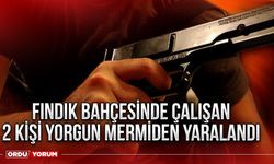 Fındık bahçesinde çalışan 2 kişi yorgun mermiden yaralandı