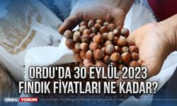 Ordu'da 30 Eylül 2023 fındık fiyatları ne kadar?