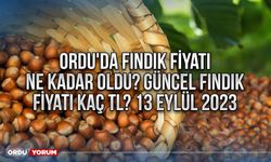 Ordu'da fındık fiyatı ne kadar oldu? Güncel fındık fiyatı kaç TL? 13 Eylül 2023