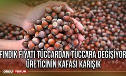 Fındık fiyatı tüccardan tüccara değişiyor Üreticinin kafası karışık İşte günün fiyatı