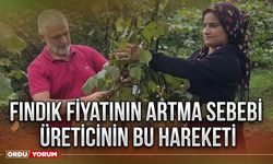 Fındık fiyatının artma sebebi üreticinin bu hareketi