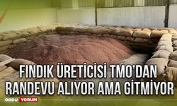 Fındık üreticisi TMO’dan randevu alıyor ama gitmiyor