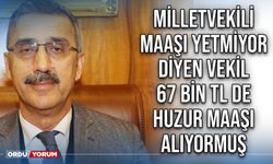 Milletvekili maaşı yetmiyor diyen vekil 67 bin TL de huzur maaşı alıyormuş