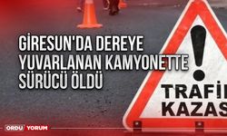 Giresun'da dereye yuvarlanan kamyonette sürücü öldü