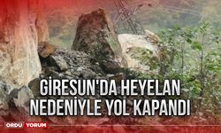 Giresun'da heyelan nedeniyle ulaşıma kapandı