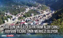 Giresun'un o ilçesi yatırım aldı! Canlı hayvan ticaretinin merkezi oluyor