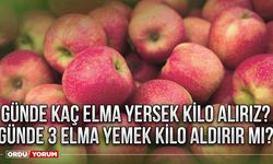 Günde kaç elma yersek kilo alırız? Günde 3 elma yemek kilo aldırır mı?