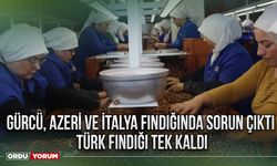 Gürcü, Azeri ve İtalya fındığında sorun çıktı Türk fındığı tek kaldı