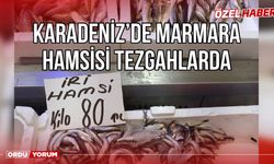 Karadeniz’de Marmara hamsisi tezgahlarda