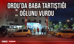 Ordu'da baba tartıştığı oğlunu vurdu