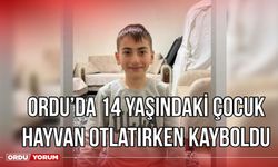 Ordu'da 14 yaşındaki çocuk hayvanları otlatırken kayboldu