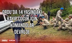 Ordu'da 14 yaşındaki kayıp çocuk için komandolar devrede