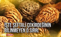 İşte şeftali çekirdeğinin bilinmeyen o sırrı