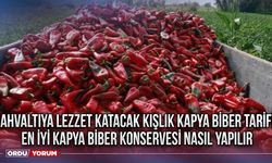 Kahvaltıya Lezzet Katacak Kışlık Kapya Biber Tarifi Bayılacaksınız! En İyi Kapya Biber Konservesi Nasıl Yapılır