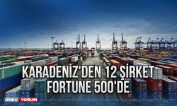 Karadeniz'den 12 şirket Fortune 500'de