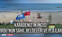 Karadeniz'in İncisi: Ordu'nun Sahil Beldeleri ve Plajları 2024