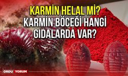 Karmin helal mi? Karmin böceği hangi gıdalarda var?