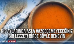 Kış aylarında asla vazgeçemeyeceğiniz bir lezzet! Birde böyle deneyin