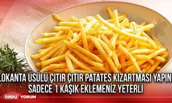 Lokanta usülü çıtır çıtır patates kızartması yapın! Sadece 1 kaşık eklemeniz yeterli