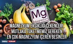 Magnezyum eksikliği çekenler! Mutlaka Tüketmemiz Gereken En Çok Magnezyum İçeren Besinler