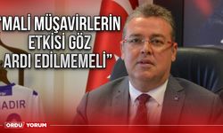 “Mali müşavirlerin etkisi göz ardı edilmemeli”