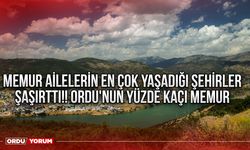 Memur ailelerin en çok yaşadığı şehirler şaşırttı!! Ordu'nun yüzde kaçı memur