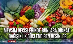 Mevsim geçişlerinde bunlara dikkat! Bağışıklık güçlendiren besinler