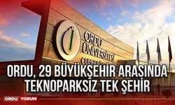 Ordu, 29 büyükşehir arasında teknoparksız tek şehir