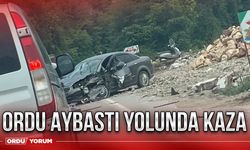 Ordu Fatsa yolunda kaza