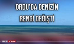 Ordu’da denizin rengi değişti