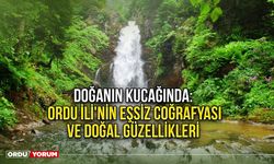 Doğanın Kucağında: Ordu İli'nin Eşsiz Coğrafyası ve Doğal Güzellikleri