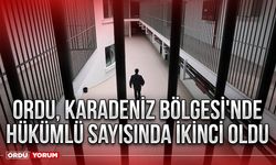 Ordu, Karadeniz Bölgesi'nde hükümlü sayısında ikinci oldu