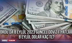 Ordu'da 8 Eylül 2023 Güncel Döviz Fiyatları- 8 Eylül Dolar kaç TL?