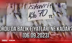 Ordu'da Balık Fiyatları Ne Kadar? (06.09.2023)