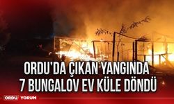 Ordu’da çıkan yangında 7 bungalov ev küle döndü