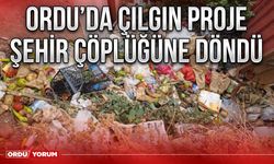 Ordu’da çılgın proje şehir çöplüğüne döndü