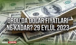 Ordu'da dolar fiyatları ne kadar? 29 Eylül 2023