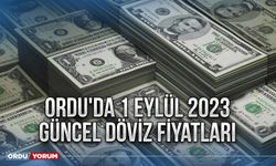 Ordu'da 1 Eylül 2023 Güncel Döviz Fiyatları