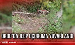 Ordu’da jeep uçuruma yuvarlandı