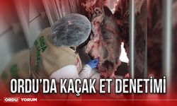 Ordu’da kaçak et denetimi