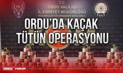 Ordu’da kaçak tütün operasyonu