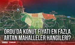 Ordu'da konut fiyatı en fazla artan mahalleler hangileri?